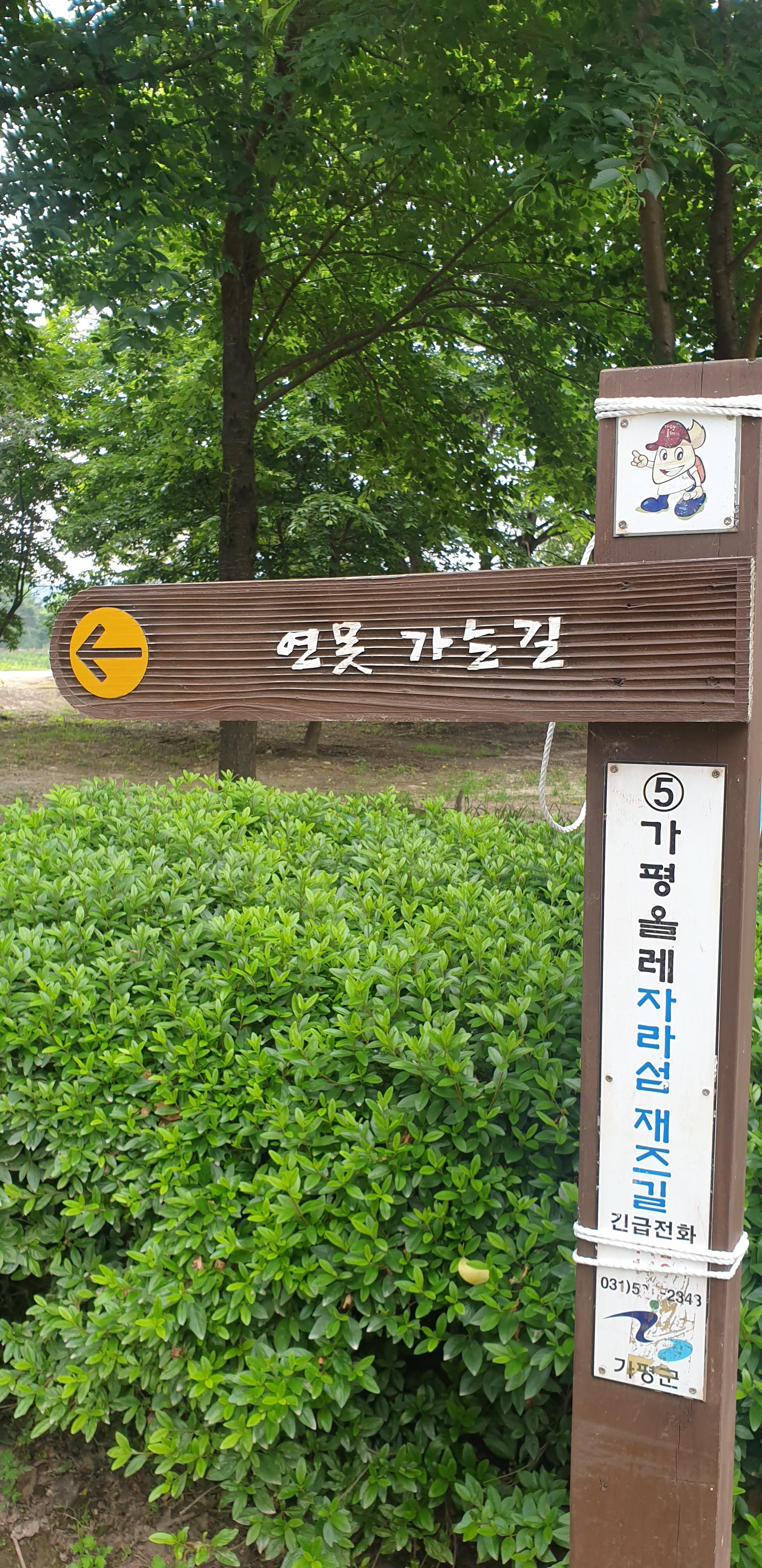  가평 자라섬 남도꽃정원의 풍경