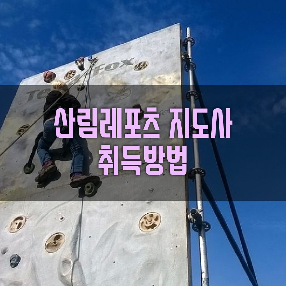 표지