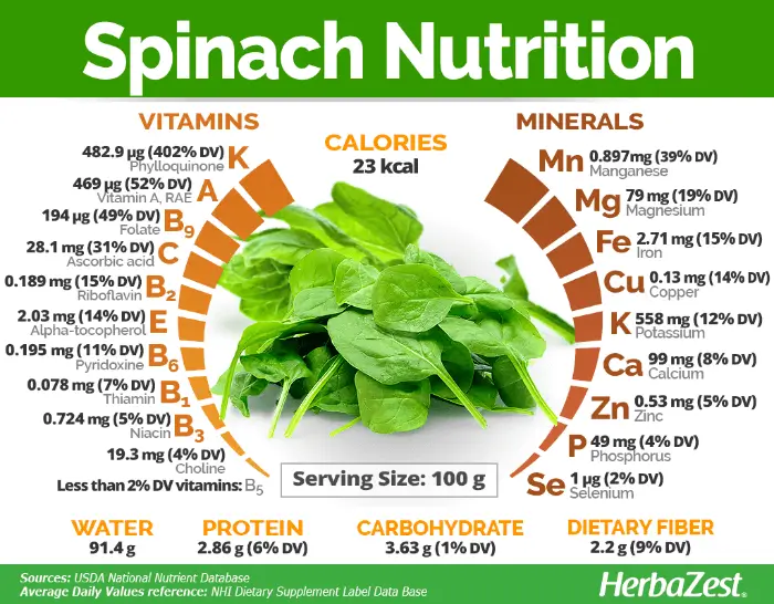 시금치 Spinach