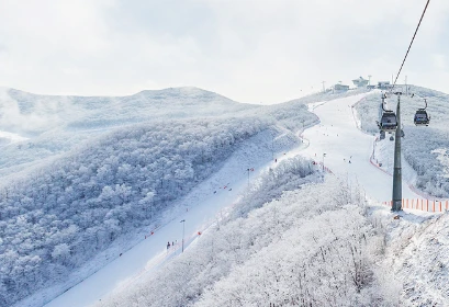 스키장별 어린이 스키강습 프로그램 총정리(비발디파크&amp;#44; 용평&amp;#44; 엘리시안 강촌&amp;#44; 휘닉스 평창&amp;#44; 오크밸리&amp;#44; 하이원)