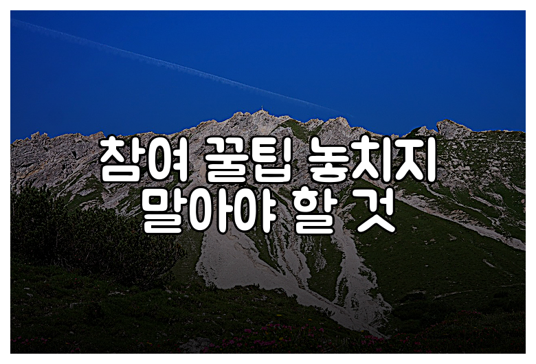 참여 꿀팁 놓치지 말아야 할 것