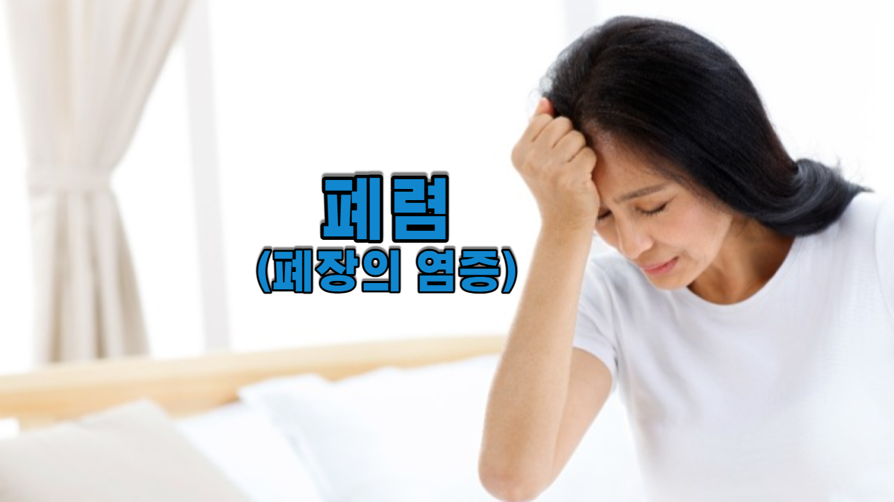  폐렴(폐장의 염증)