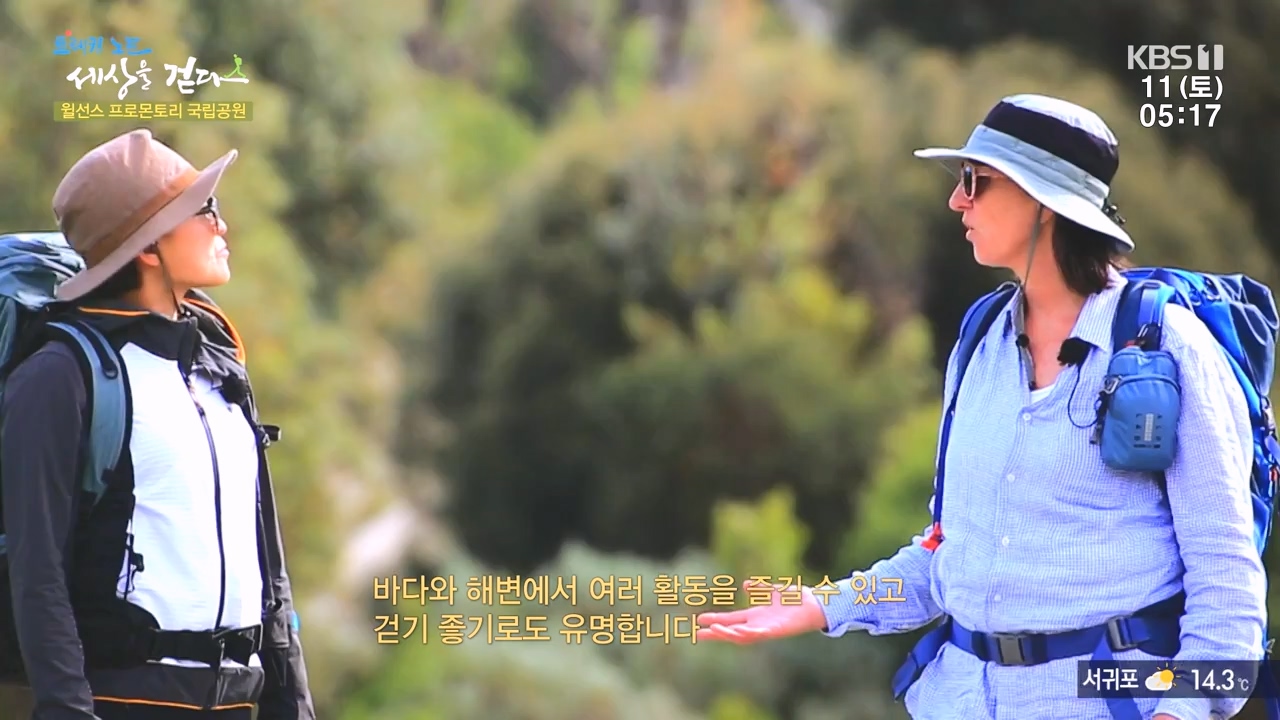 트레킹노트 세상을 걷다.E296.231112p-NEXT.mp4_20231111_182048.660.jpg