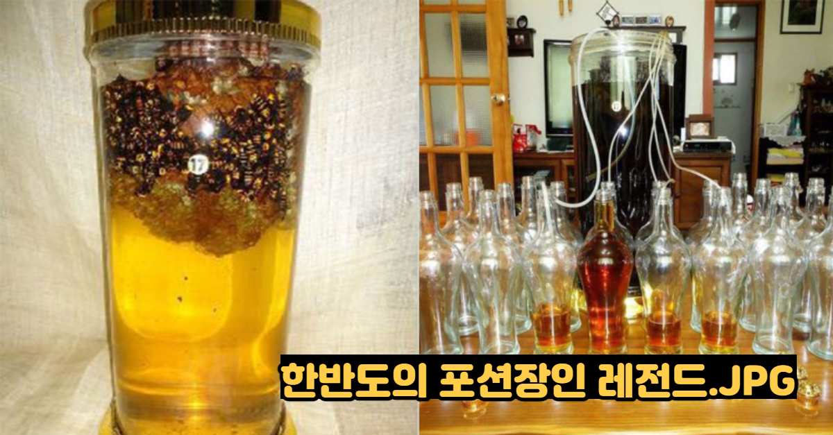  한반도의 포션장인 레전드.JPG