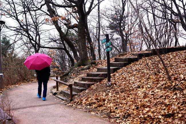 빨간 우산&#44; 남성&#44; 우측에 계단길&#44; 수북한 낙엽&#44;