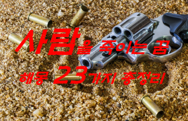  사람 죽이는 꿈 23가지 해몽 총정리