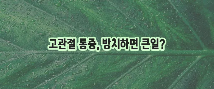 고관절 통증 원인과 예방 꼼꼼하게 알아봐야 합니다