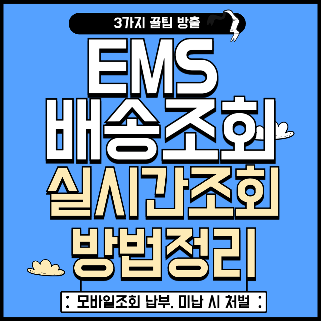 EMS 배송조회 우체국 해외배송