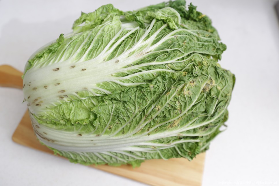 짠맛 김장봉투로 간단하게 속이 꽉 찬 배추절임 배추절임 시간 2