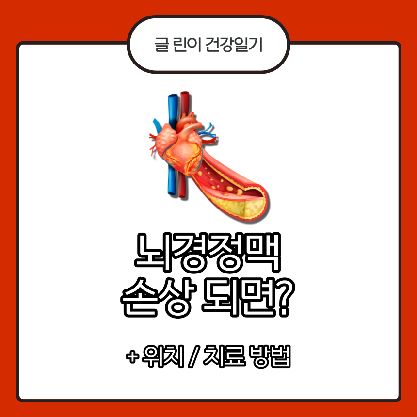  뇌경정맥 손상 되면?