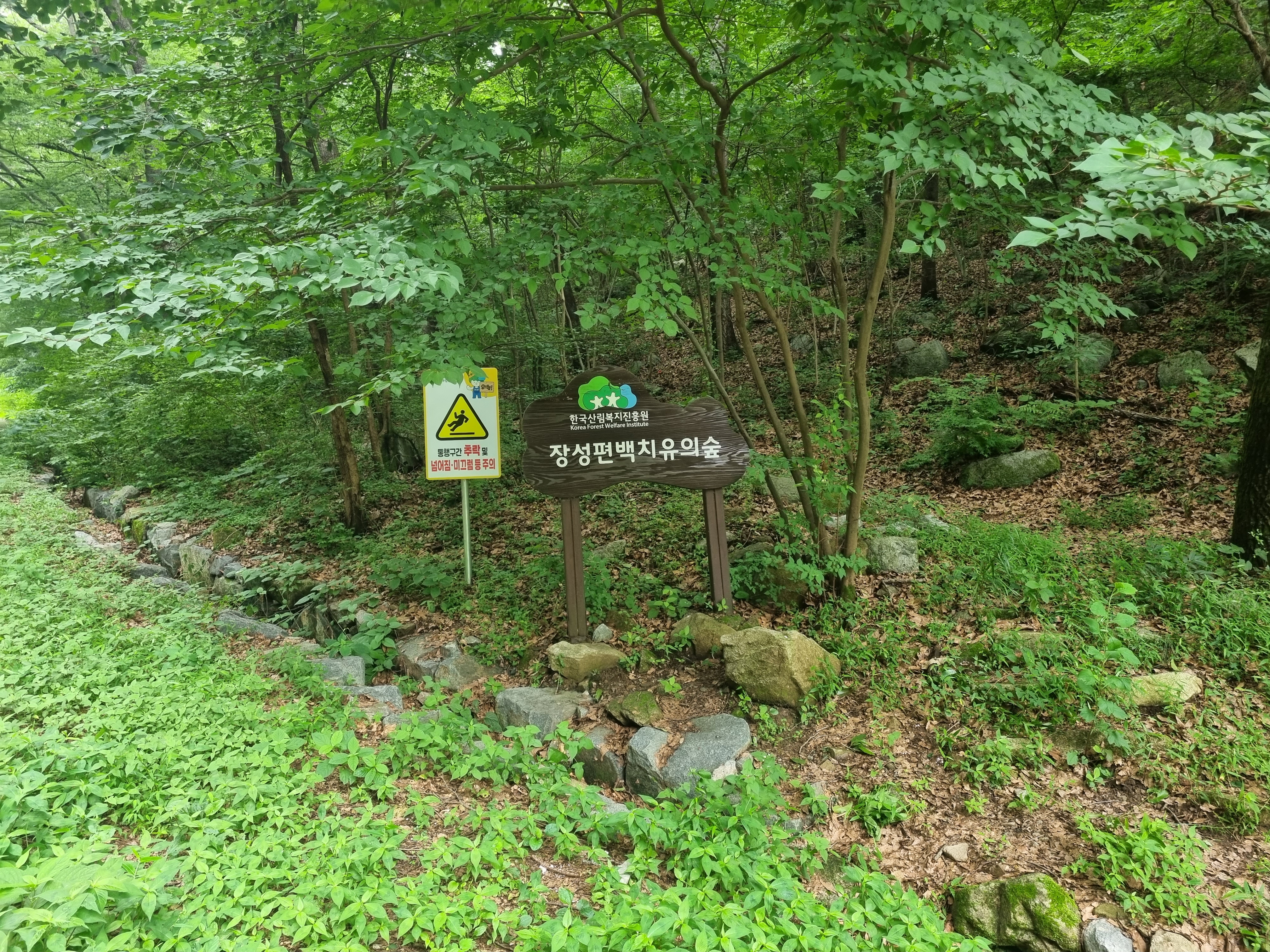 장성_편백_치유의_숲_팻말