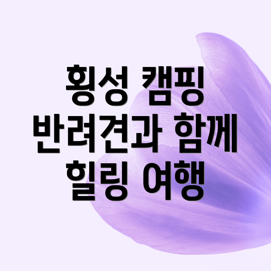 횡성 애견 캠핑