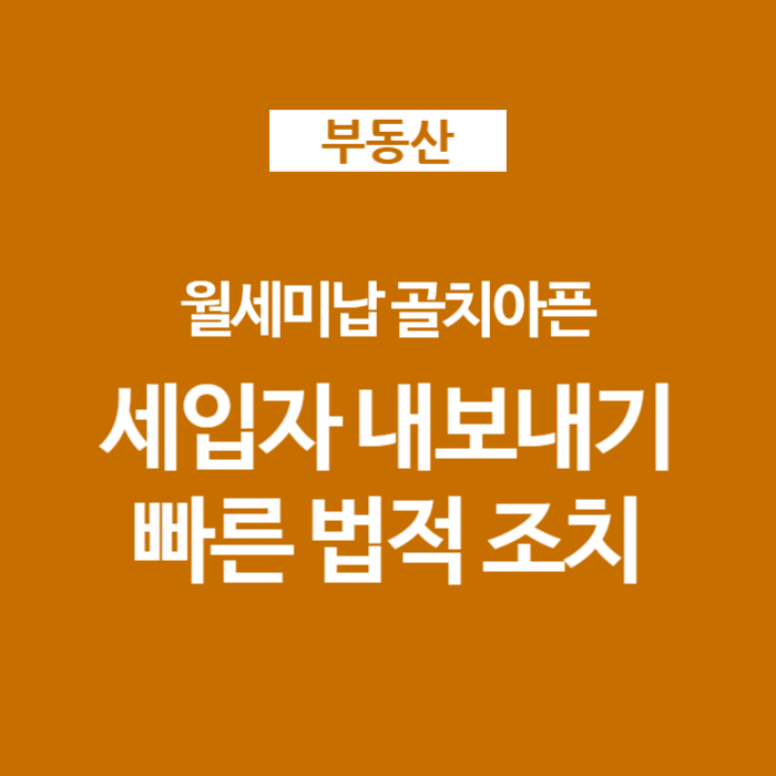  월세 미납 세입자 내보내기 빠른 법적 조치 (명도소송과 강제집행)