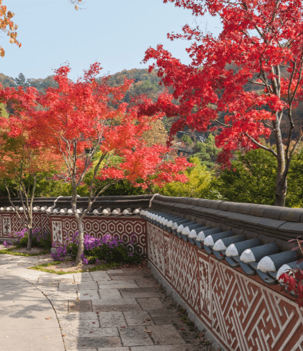 화담숲 가을 단풍 축제