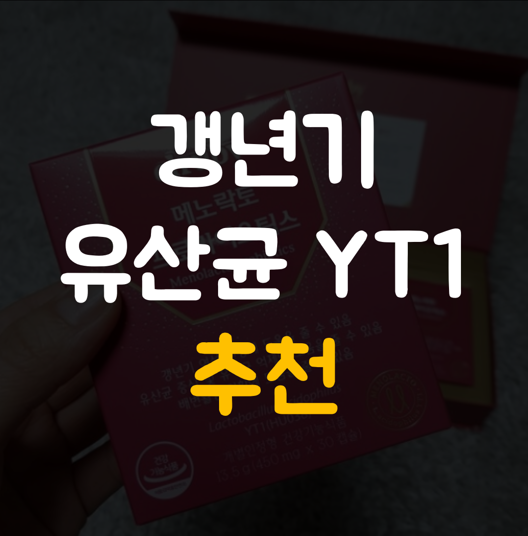  갱년기 유산균YT1 메노락토 프로바이오틱스 효능