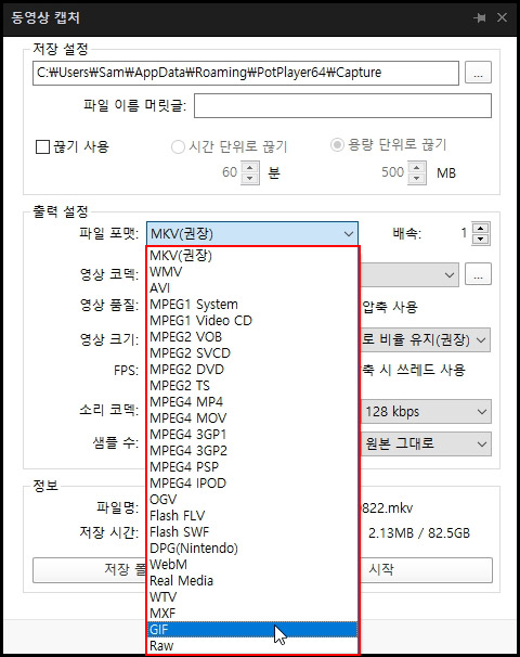 팟 플레이어 동영상 파일 포맷