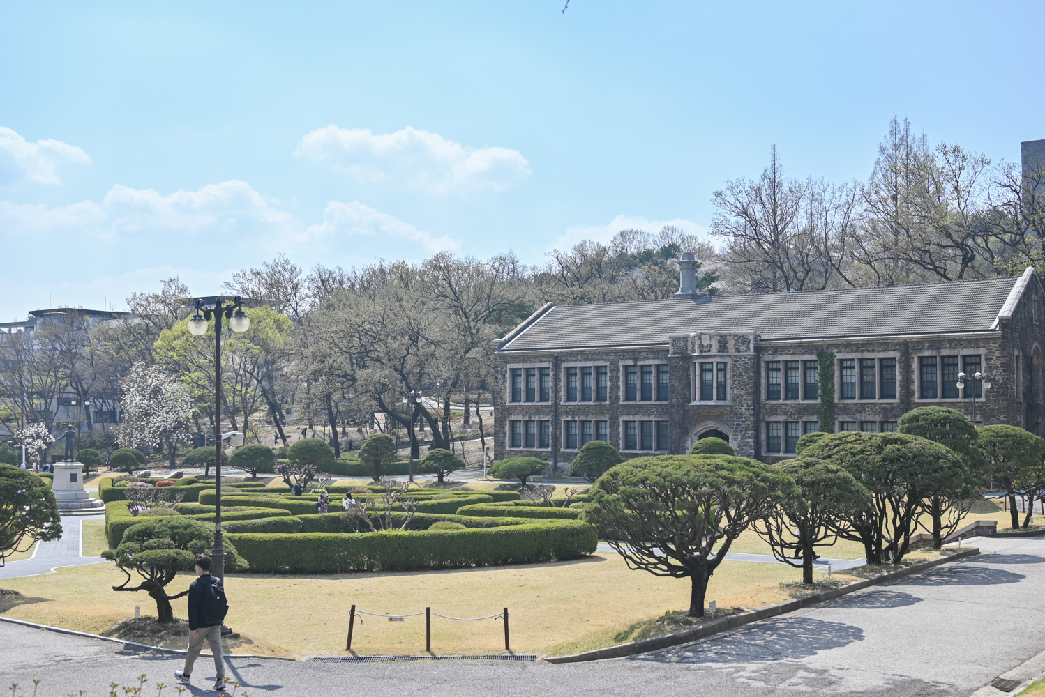 벚꽃 명소인 연세대