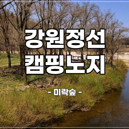  강원도 정선 노지 차박캠핑 미락숲 - 데크가 있는 무료 노지 차박 캠핑장