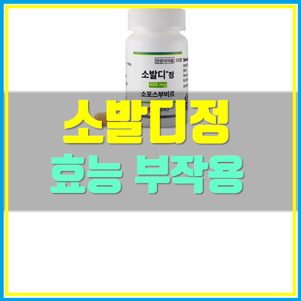  소발디 정 가격 복용법