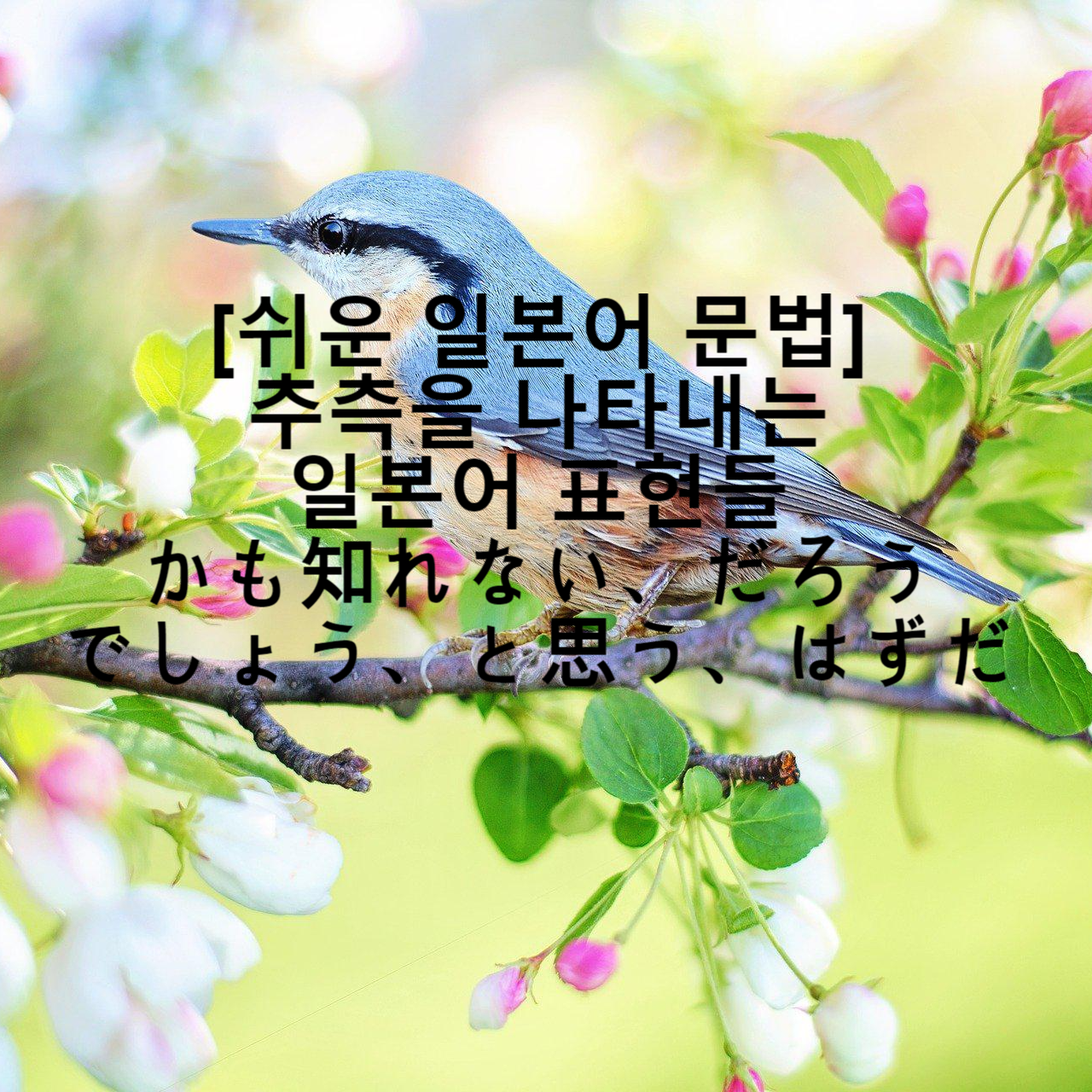 쉬운 일본어 문법 추측을 나타내는 일본어 표현들 かも知れない だろう でしょう と思う はずだ