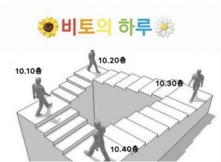  비토의 하루