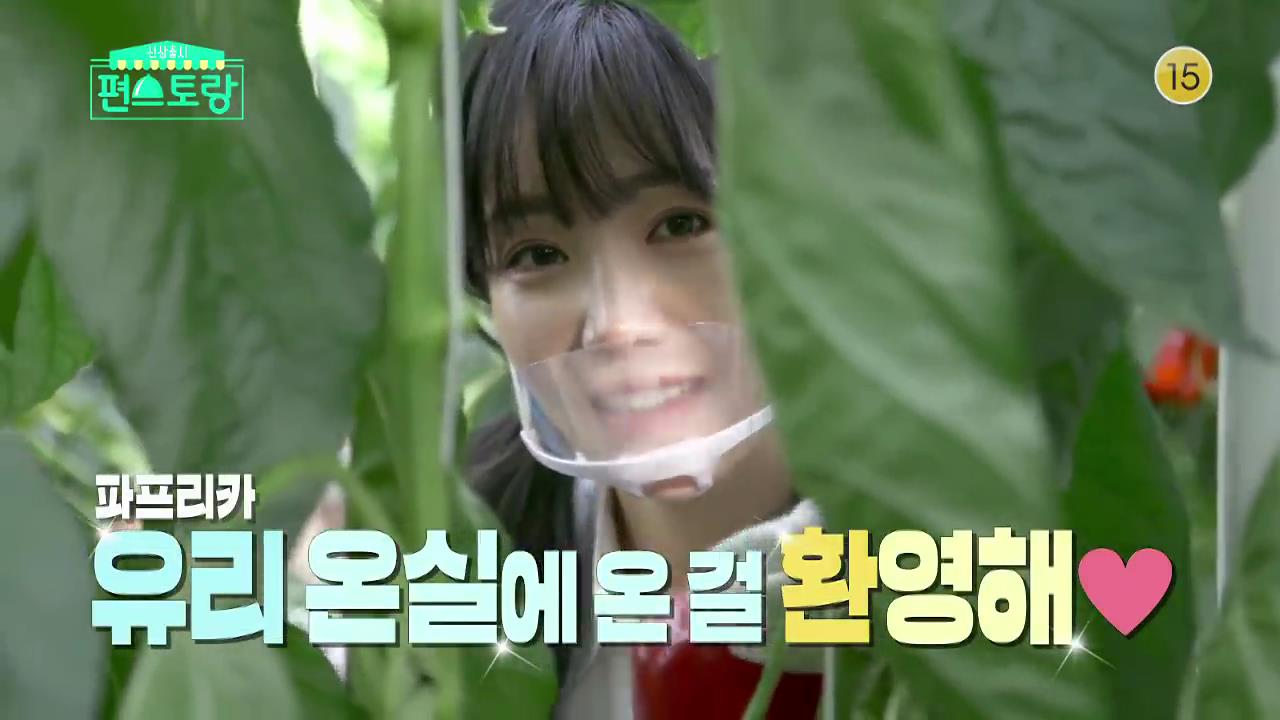  편스토랑 이유리 나이 파프라카 농장 삶의 체험농장??!