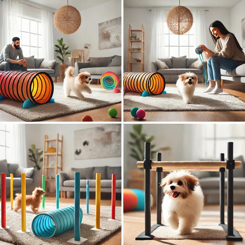 강아지 운동 루틴