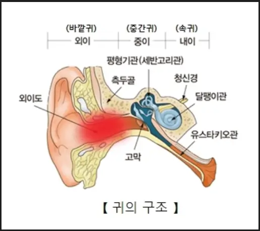 외이도 진균증의 원인과 예방법: 일상 속 청력 관리의 중요성!