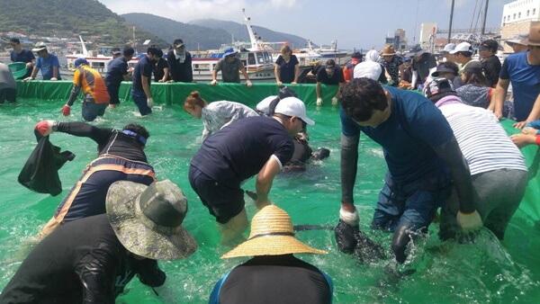 거문도 백도 은빛 바다체험 행사 모습