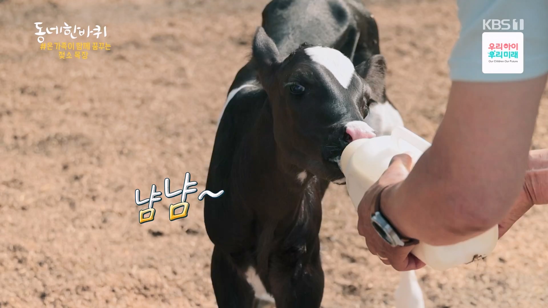 동네 한 바퀴.E282.240713p-NEXT.mp4_20240714_162919.311.jpg