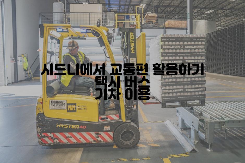 시드니에서 교통편 활용하기 택시 버스 기차 이용