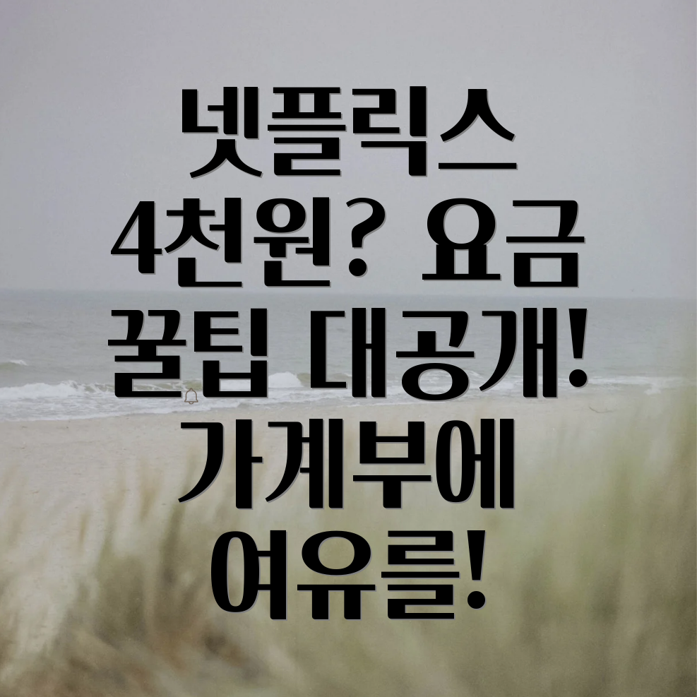 넷플릭스 요금제