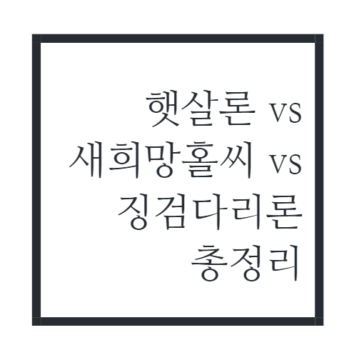 정부지원대출