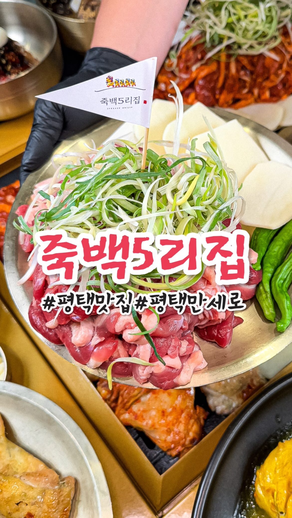 죽백5리집 내부