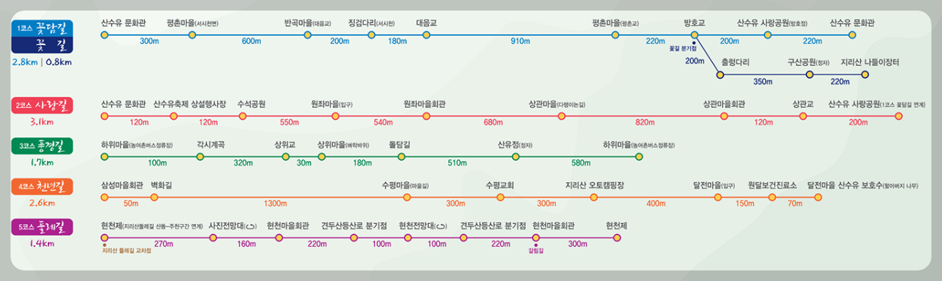 구례 산수유 개화상황