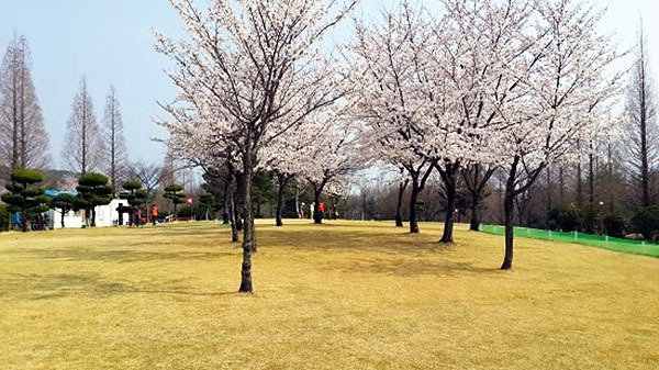 창원 대원파크골프장. 경남 창원시 성산구 두대로 46