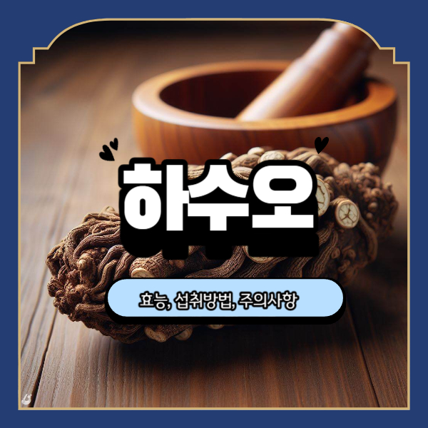  하수오의 생태 놀라운 효능과 섭취방법 그리고 주의사항