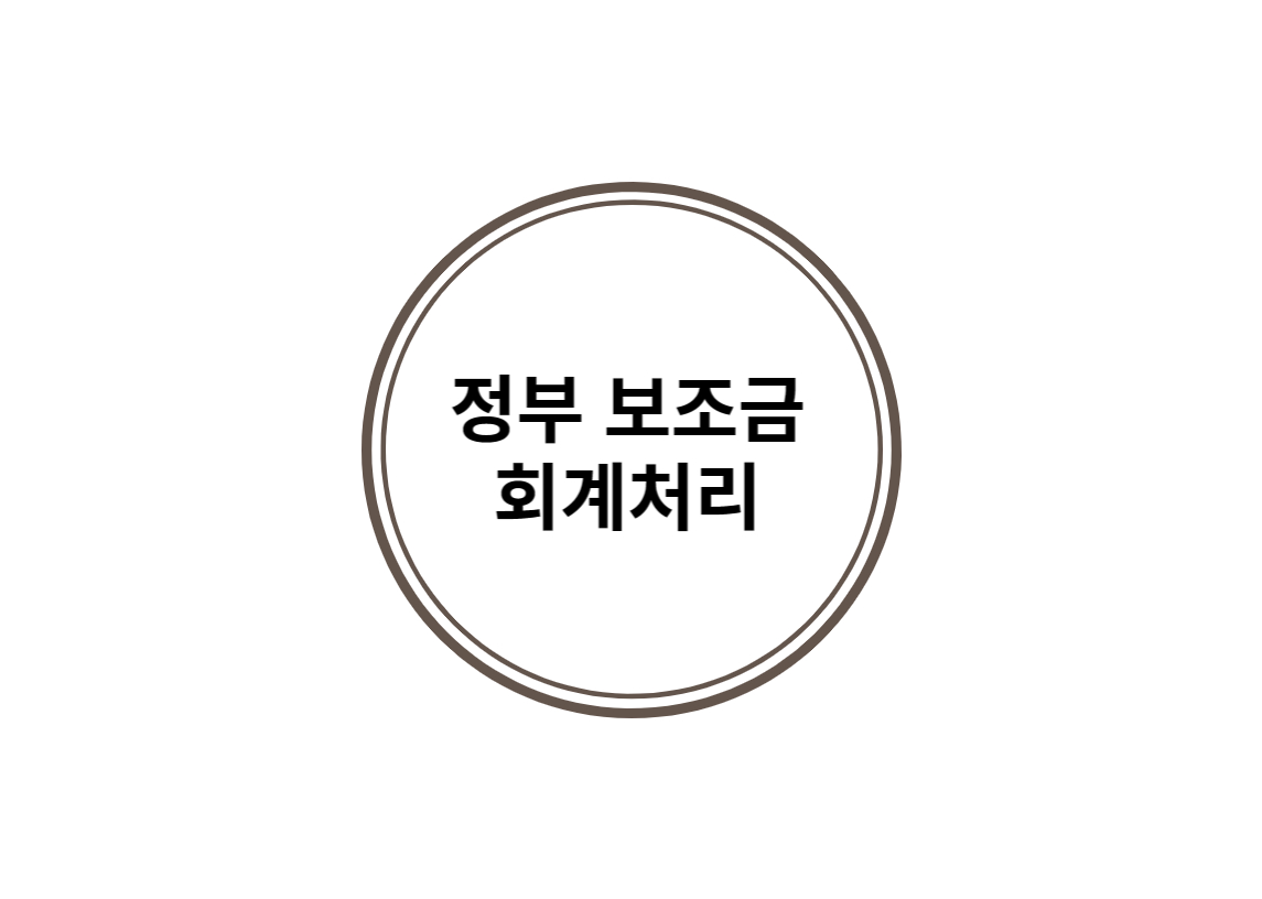  정부가 지급하는 보조금에 대한 회계처리
