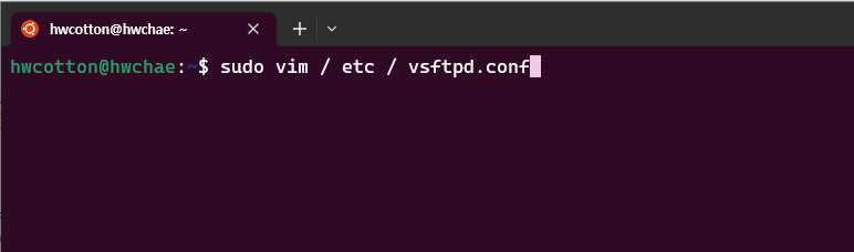 $ sudo vi /etc/vsftpd.conf