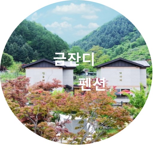  가평 금잔디 펜션 후기 및 소개 (계곡이 바로 앞에 있는 펜션)