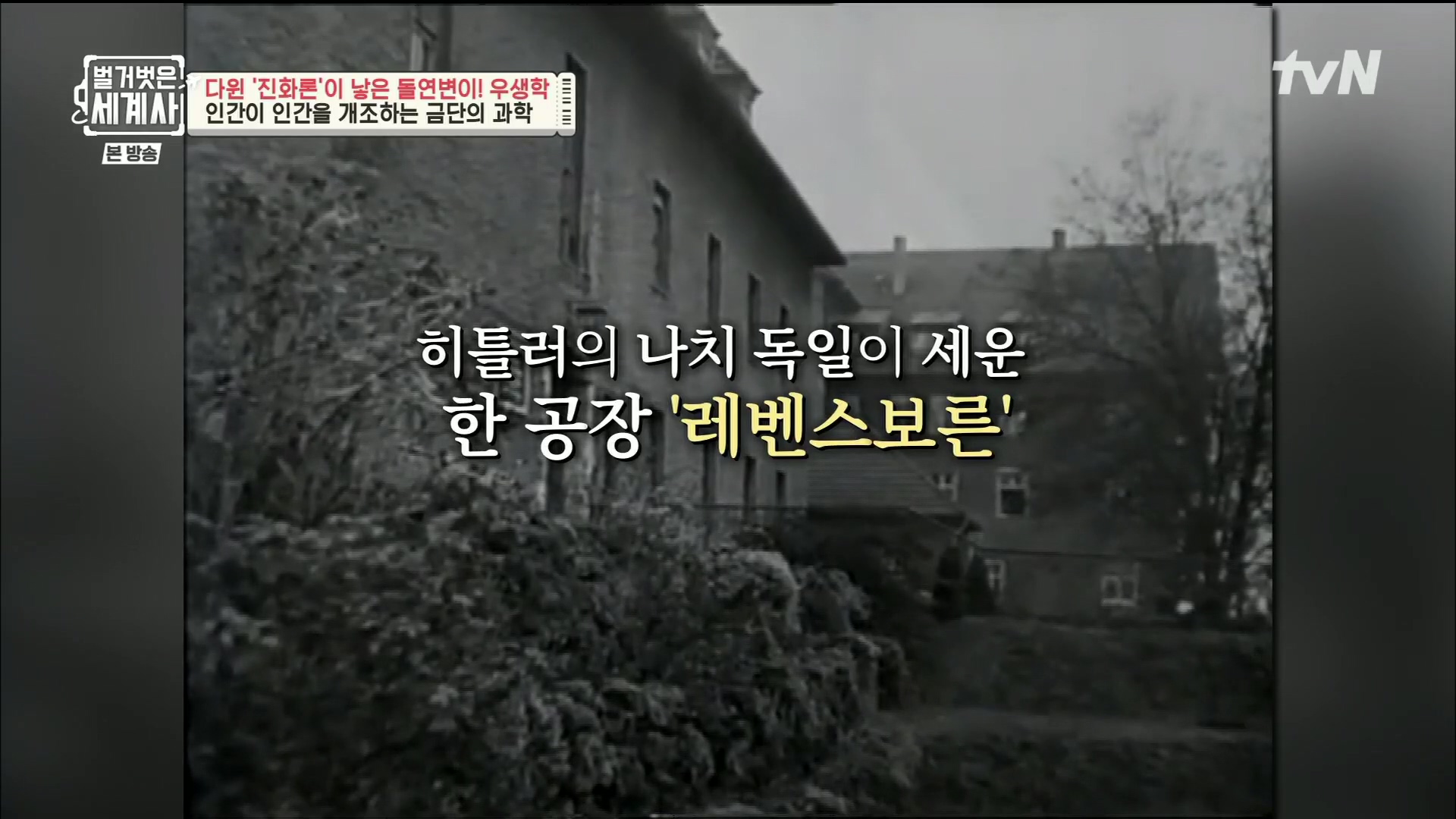 벌거벗은 세계사.E97.230502p.H264-F1RST.mp4_20231224_162006.166.jpg
