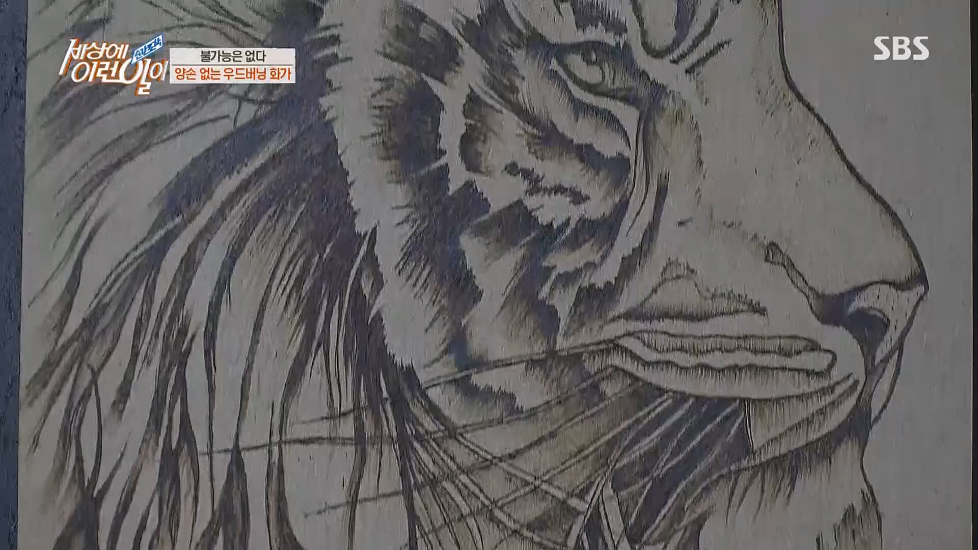 순간포착 세상에 이런일이.E1224.230404p.H264-F1RST.mp4_20230405_193517.203.jpg