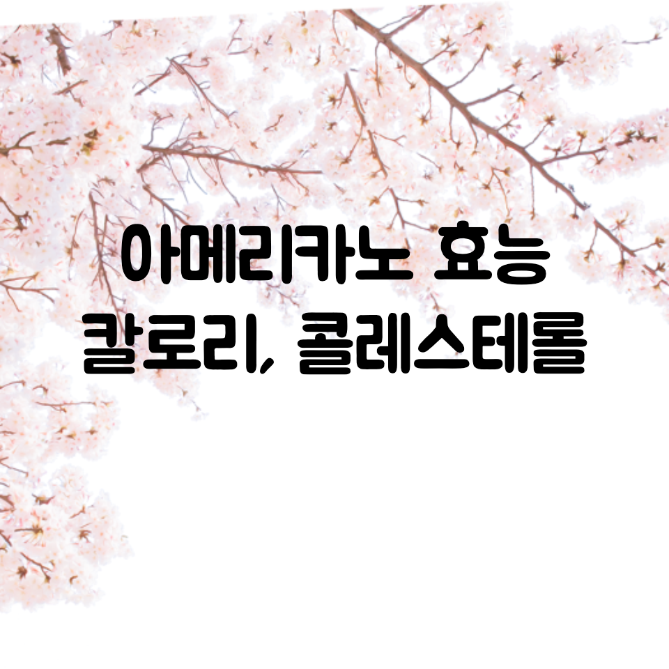  아메리카노 효능, 칼로리 / 아메리카노 콜레스테롤