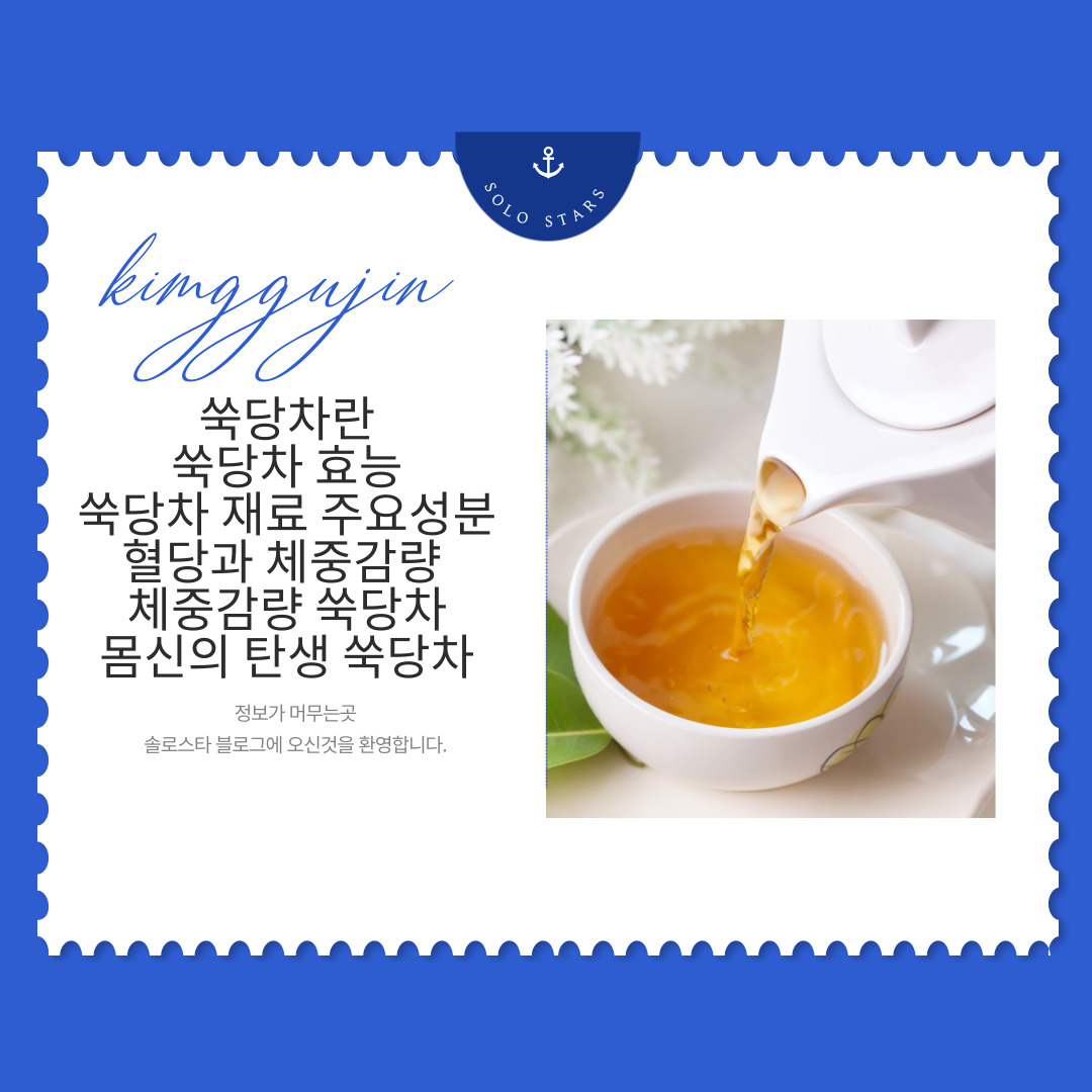 차관련 사진