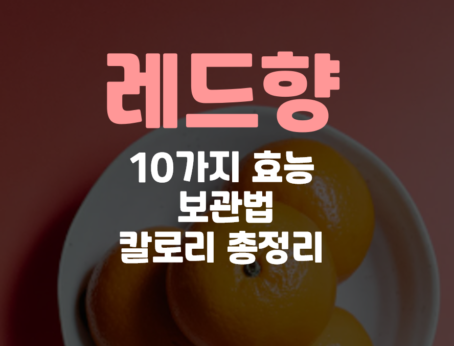  레드향 효능 10가지와 보관법 칼로리 총정리
