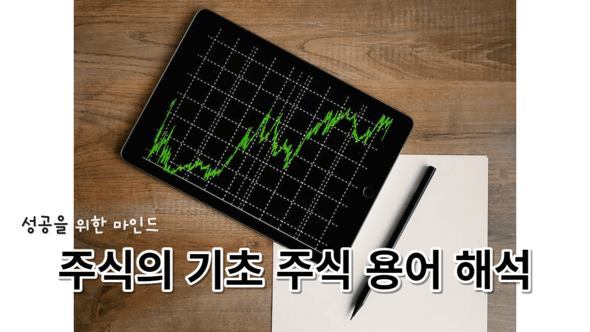 주식의 기초