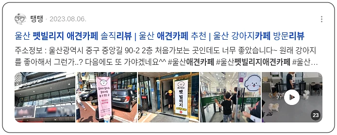 애견카페 펫빌리지 리뷰_3_subsection