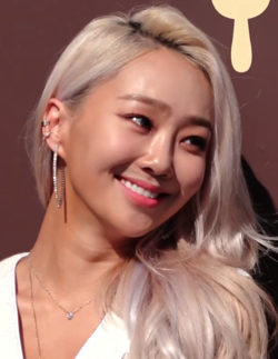  가수 효린 과거 학폭 및 성형 논란