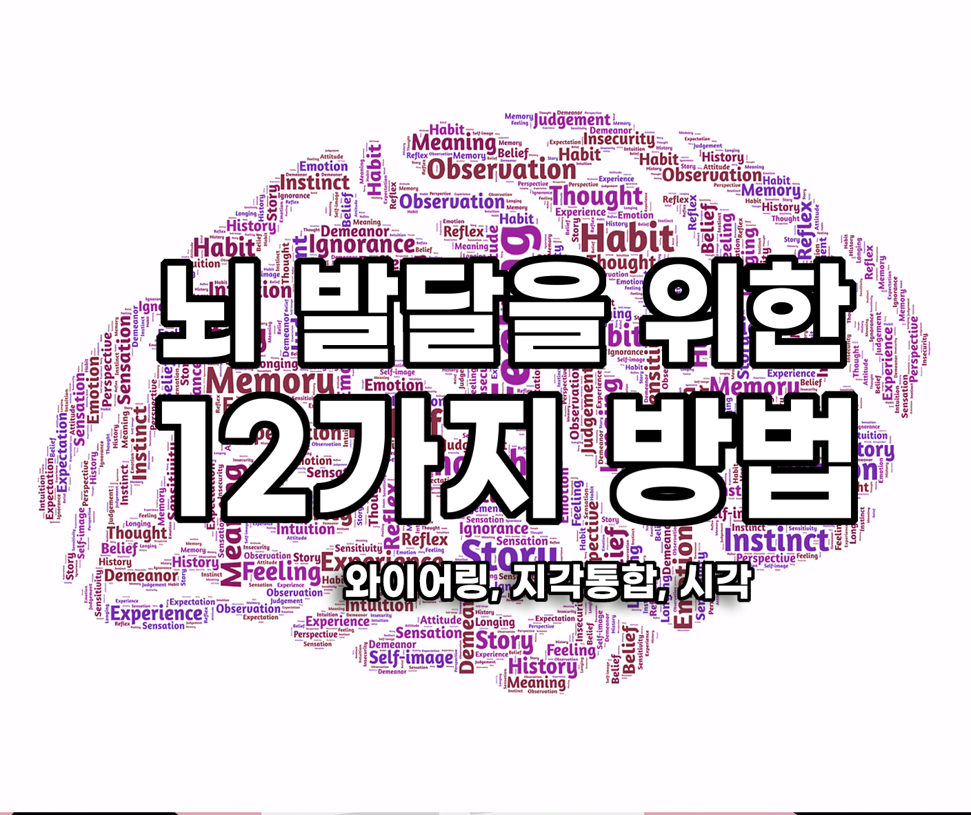  뇌 발달을 위한 12가지 방법 - 뇌도 성형이 가능하다