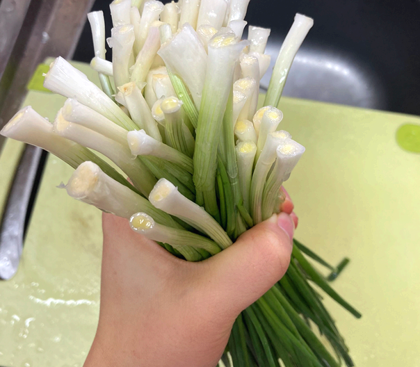 쪽파-사진